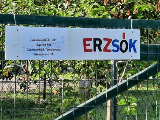 Szemermetes Erzsok Nyaralohaz Villa Gyomaendrőd Exterior foto