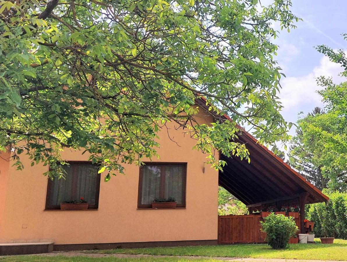 Szemermetes Erzsok Nyaralohaz Villa Gyomaendrőd Exterior foto